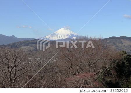 Mt. Fuji in the early spring that I would like from Azumayama Park Mt. Fuji in the early spring that I would like from Azumayama Park 28352013