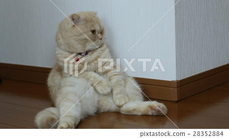 Squat Sitting Rightward 28352884