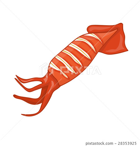 Grilled squid isolated illustration 28353925