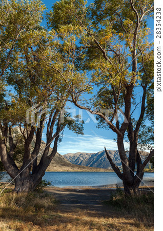 Lake Pearson, Craigieburn Forest Park, New Zealand Lake Pearson, Craigieburn Forest Park, New Zealand 28354238