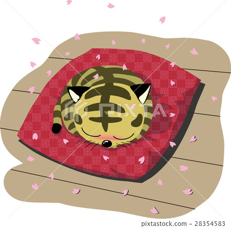 貓的陽光充足的地方 貓的陽光充足的地方 28354583