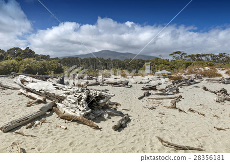 Tauparikaka Marine Reserve, Haast, New Zealand 28356181