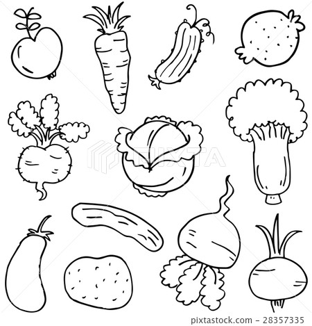 Doodle of vegetable collection hand draw Doodle of vegetable collection hand draw 28357335