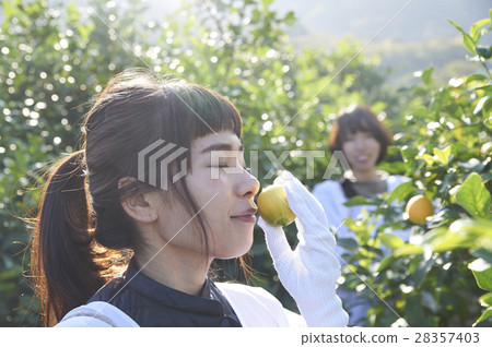 A woman sniffing the smell of lemon 28357403