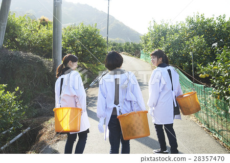 Women walking orchard 28357470