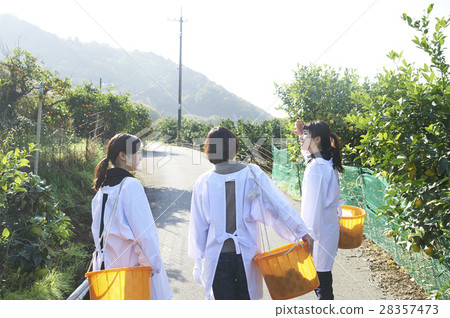 Women walking orchard 28357473