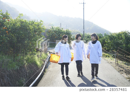 婦女走果園 28357481