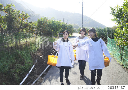 Women walking orchard 28357487