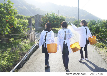 Women walking orchard 28357489