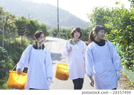 Women walking orchard 28357499