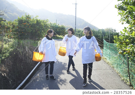 Women walking orchard 28357526
