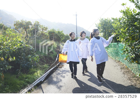 Women walking orchard 28357529