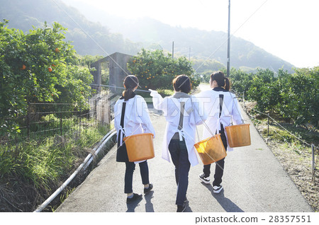 Women walking orchard Women walking orchard 28357551