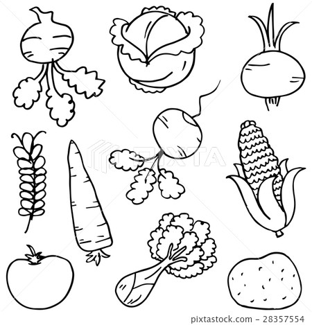 Doodle of vegetables hand draw on white 28357554