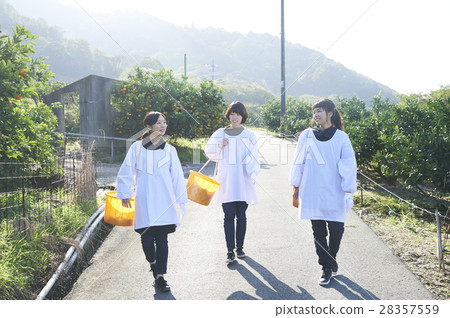 Women walking orchard 28357559