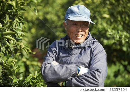 Lemon farmer 28357594