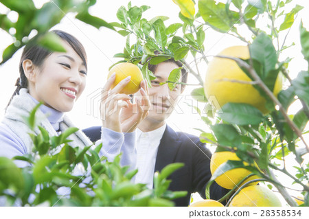 男女觀光種植園 28358534