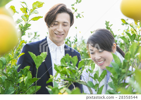 男女觀光種植園 28358544