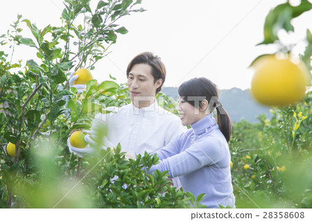 Men and women sightseeing plantations 28358608