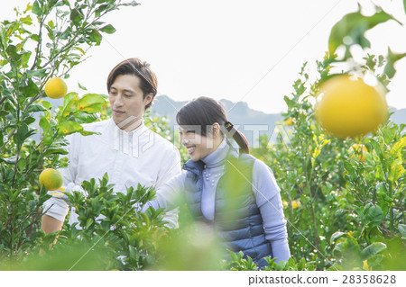 Men and women sightseeing plantations Men and women sightseeing plantations 28358628