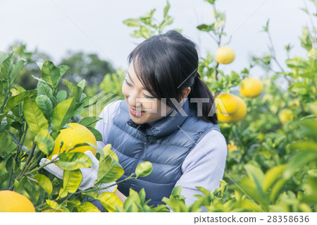 Women's image of agriculture 28358636