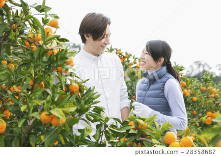 Orange farmer couple Orange farmer couple 28358687