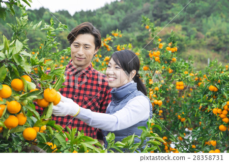 Orange farmer couple Orange farmer couple 28358731