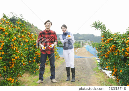 橙色農夫婦 橙色農夫婦 28358748