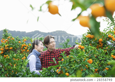 Orange farmer couple Orange farmer couple 28358749