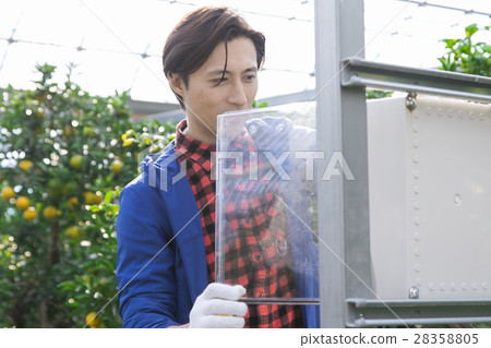 Vinyl house agriculture image Vinyl house agriculture image 28358805