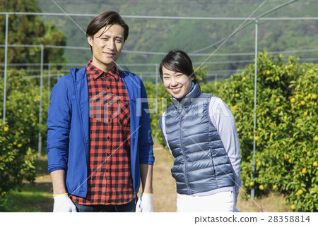 Mandarin orange farmer portrait 28358814