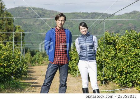 Mandarin orange farmer portrait 28358815