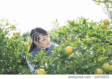 Women's image of agriculture Women's image of agriculture 28358833