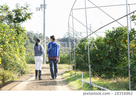 種田夫婦的圖像 種田夫婦的圖像 28358862