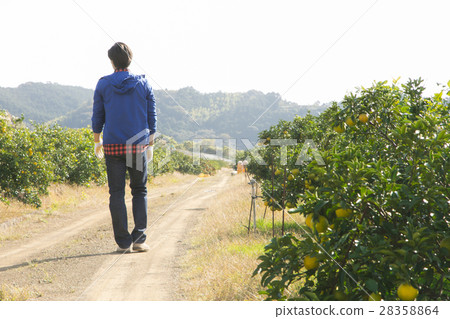 農舍畫像 農舍畫像 28358864