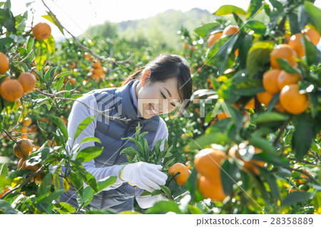 Women's image of agriculture Women's image of agriculture 28358889
