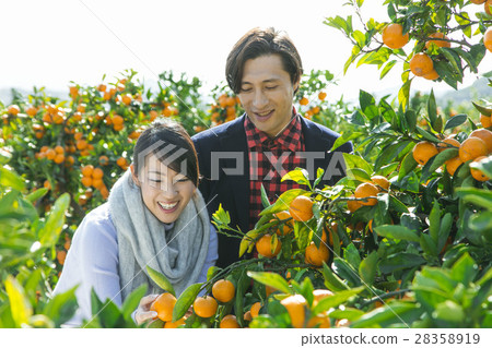 Men and women sightseeing plantations Men and women sightseeing plantations 28358919