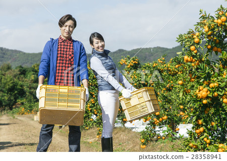 Agricultural couple portrait 28358941