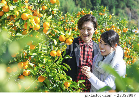 Men and women sightseeing plantations Men and women sightseeing plantations 28358997