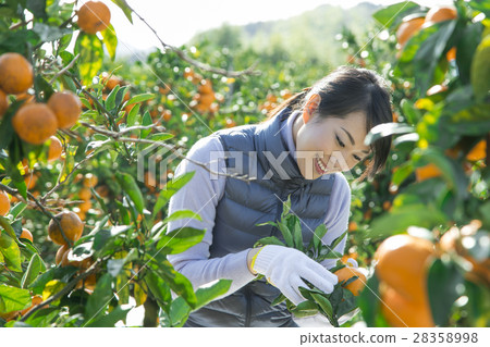 Women's image of agriculture Women's image of agriculture 28358998