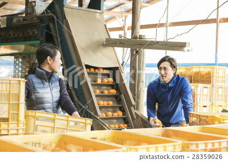 種田夫婦的圖像 28359026