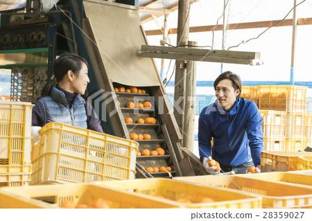 種田夫婦的圖像 28359027