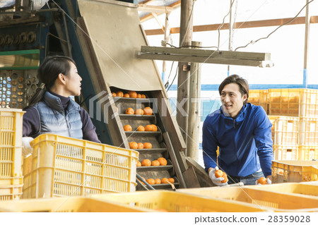 種田夫婦的圖像 28359028