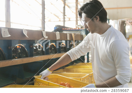 橙色農夫發貨圖像 28359087