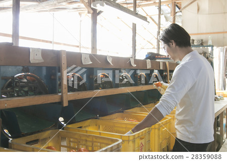 橙色農夫發貨圖像 28359088