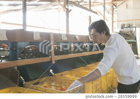 橙色農夫發貨圖像 28359089