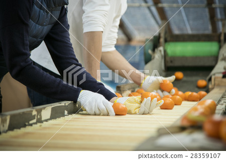 種田夫婦的圖像 28359107