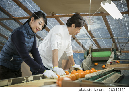 Image of farming couple 28359111