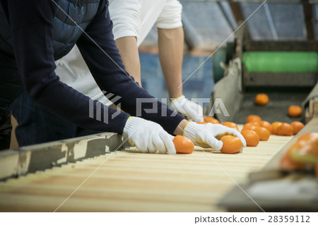 Image of farming couple 28359112