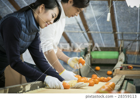 Image of farming couple Image of farming couple 28359113